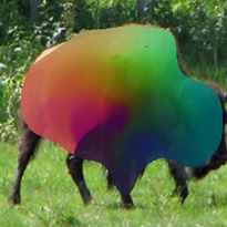 [Uncaptioned image]