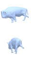 [Uncaptioned image]