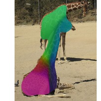 [Uncaptioned image]
