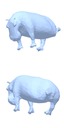 [Uncaptioned image]