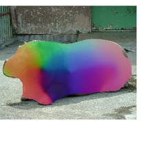 [Uncaptioned image]