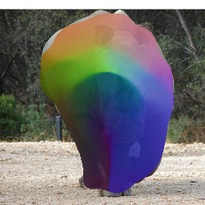 [Uncaptioned image]