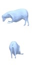 [Uncaptioned image]