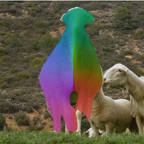 [Uncaptioned image]