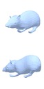 [Uncaptioned image]