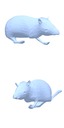 [Uncaptioned image]