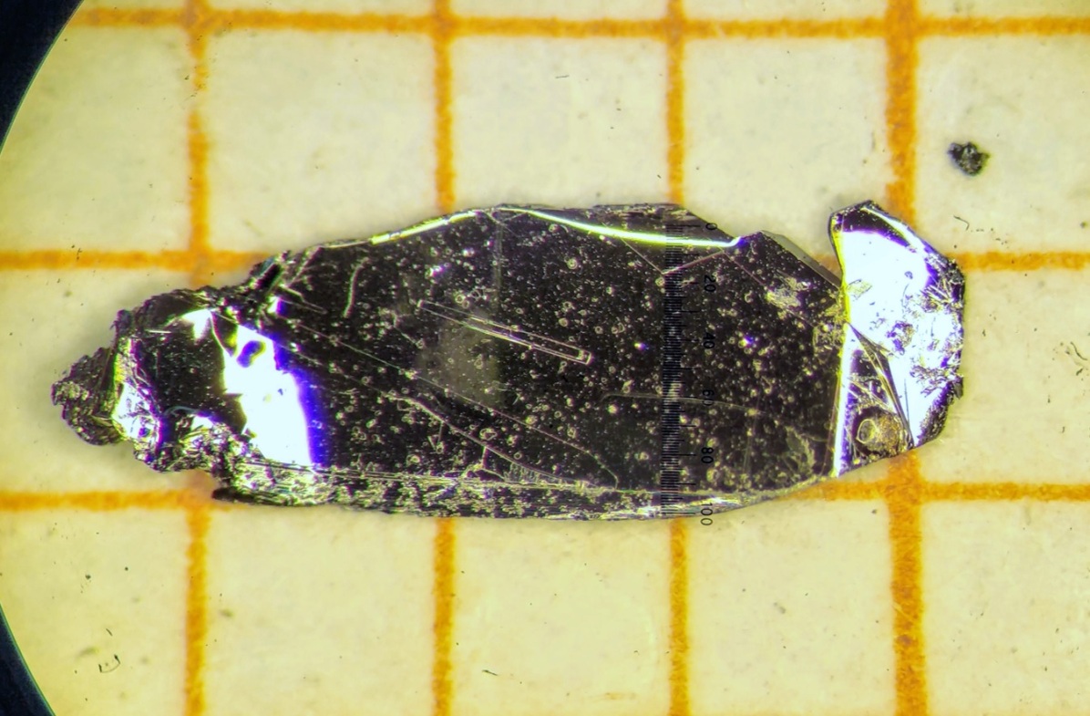 Refer to caption