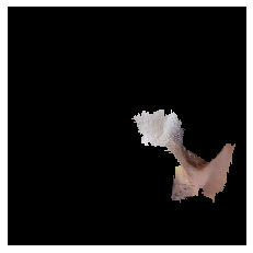 Refer to caption