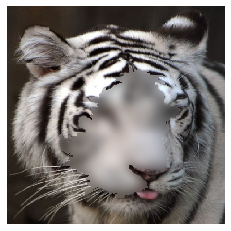 Refer to caption