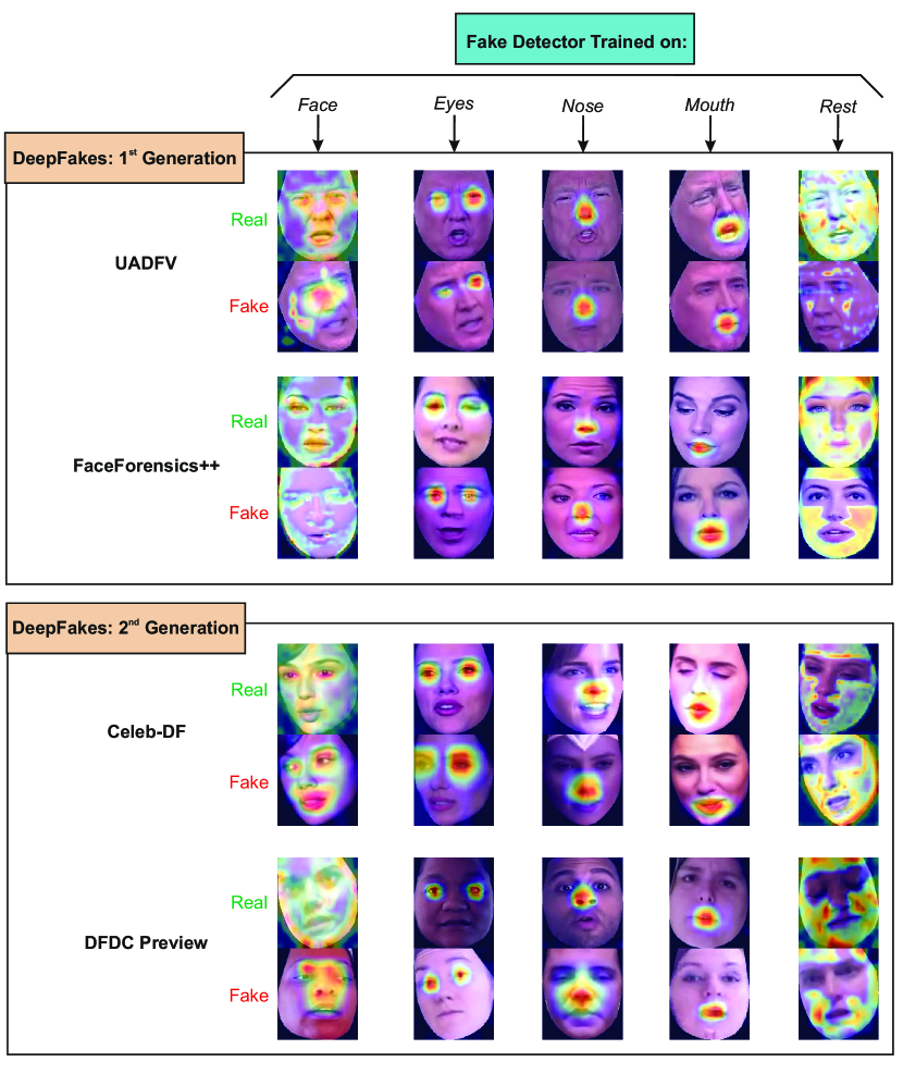 2004.07532] DeepFakes Evolution: Analysis of Facial Regions and Fake  Detection Performance