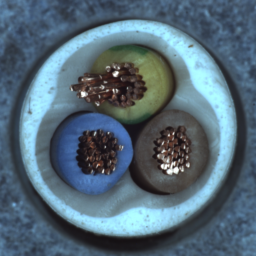 Refer to caption