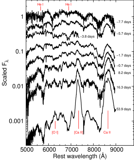 Refer to caption