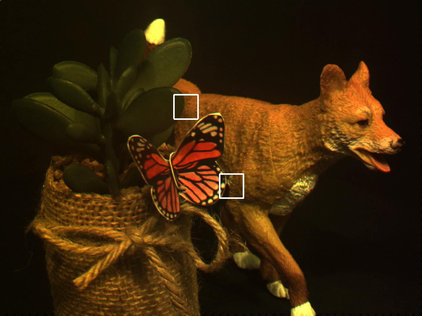 Refer to caption