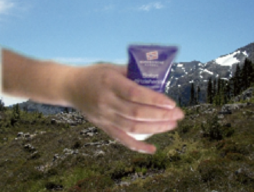 Refer to caption