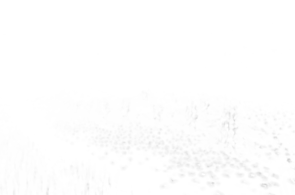[Uncaptioned image]