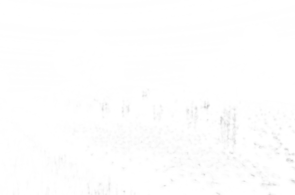 [Uncaptioned image]