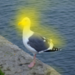 Refer to caption