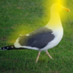 Refer to caption