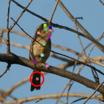 Refer to caption