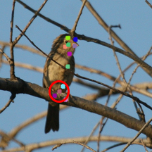 Refer to caption