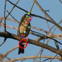 Refer to caption