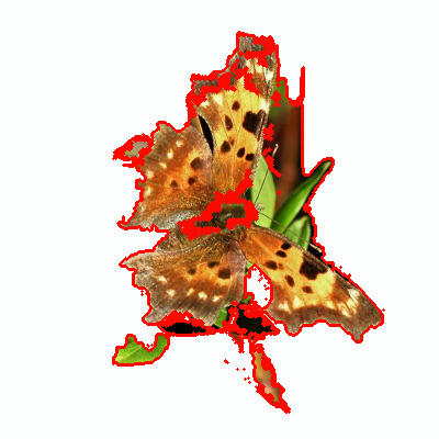 Refer to caption
