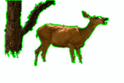 Refer to caption