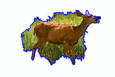 Refer to caption