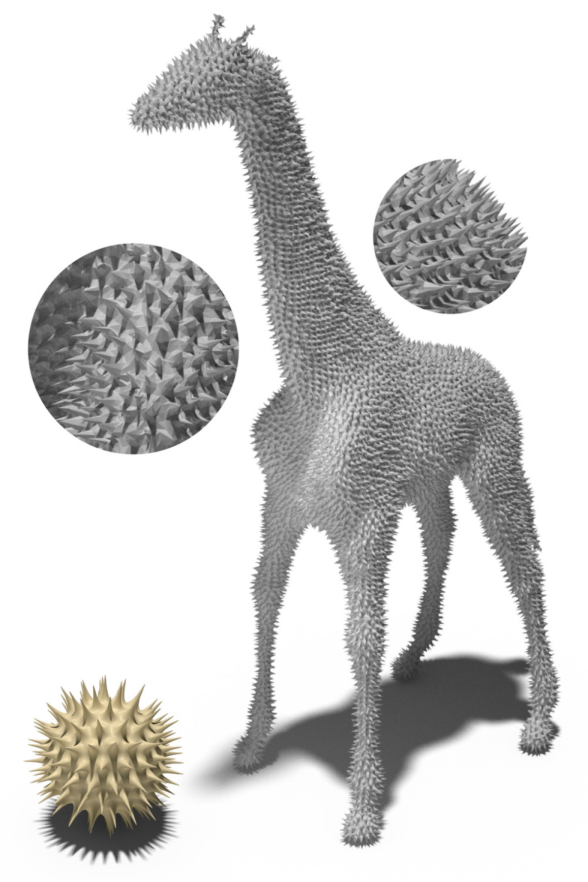 Refer to caption