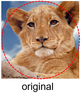 Refer to caption