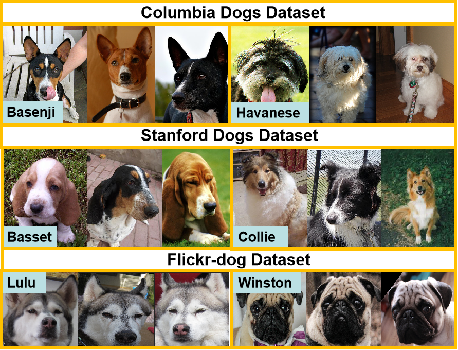 2007-11986-dog-identification-using-soft-biometrics-and-neural-networks