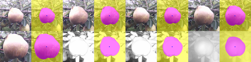 Refer to caption