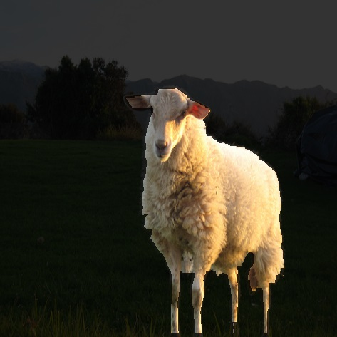 Refer to caption