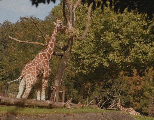 Refer to caption