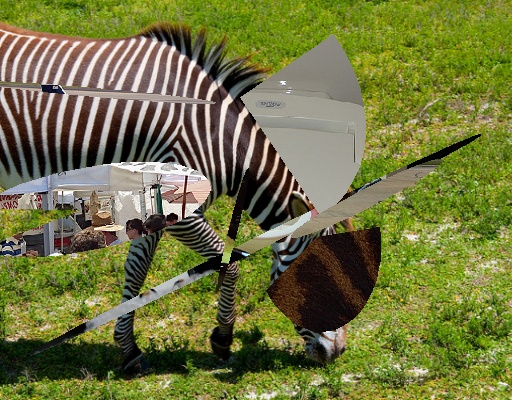 Refer to caption