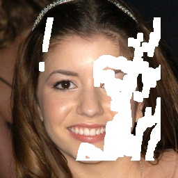 Refer to caption