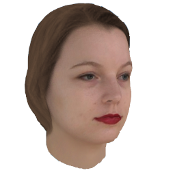 Refer to caption