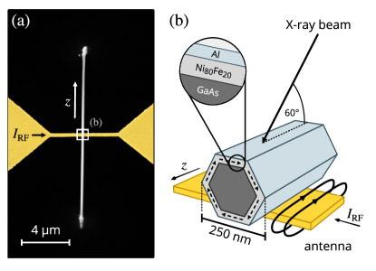 Refer to caption