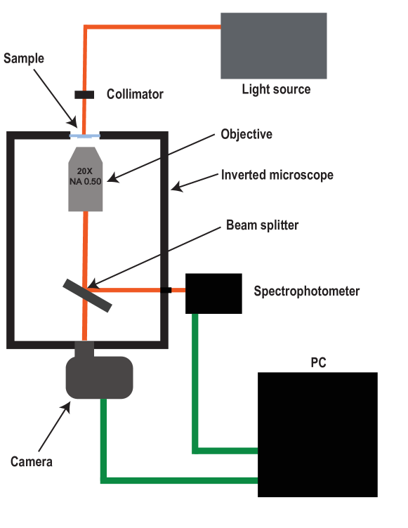 Refer to caption