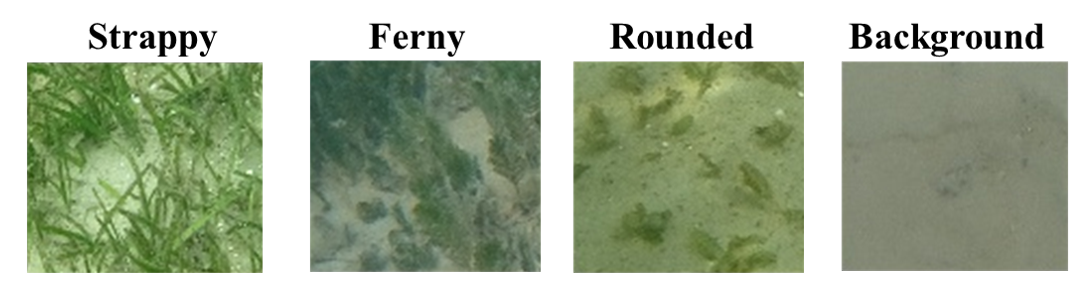 Refer to caption