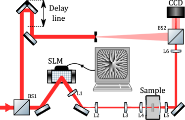 Refer to caption