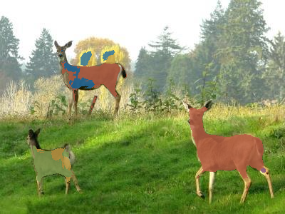Refer to caption