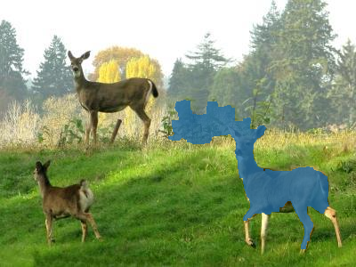 Refer to caption