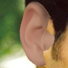 Refer to caption