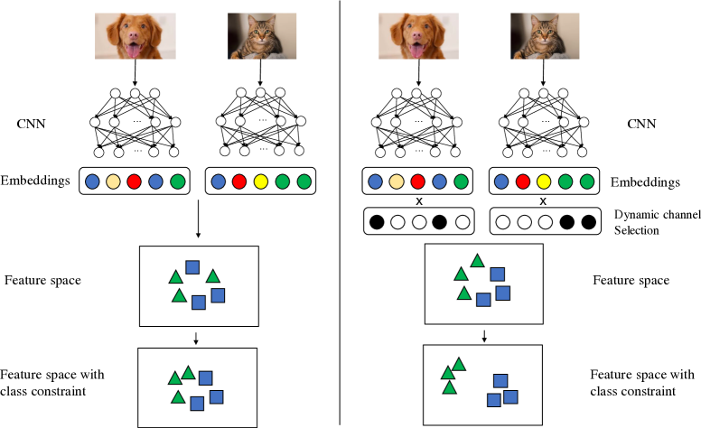 [2010.05469] CC-Loss: Channel Correlation Loss For Image Classification
