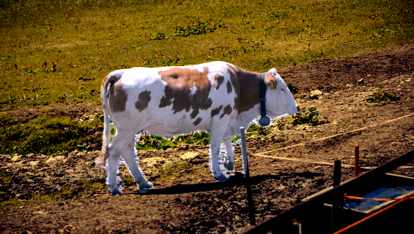 Refer to caption