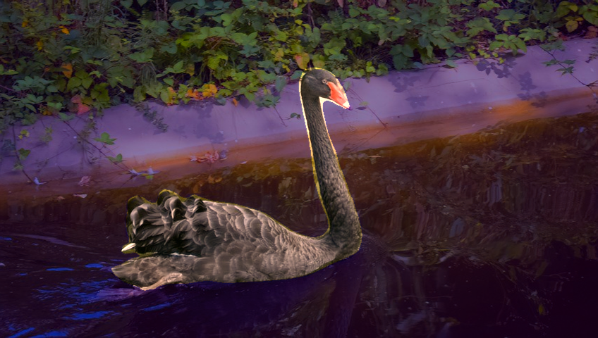 Refer to caption