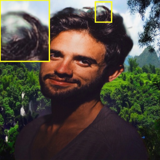 Refer to caption