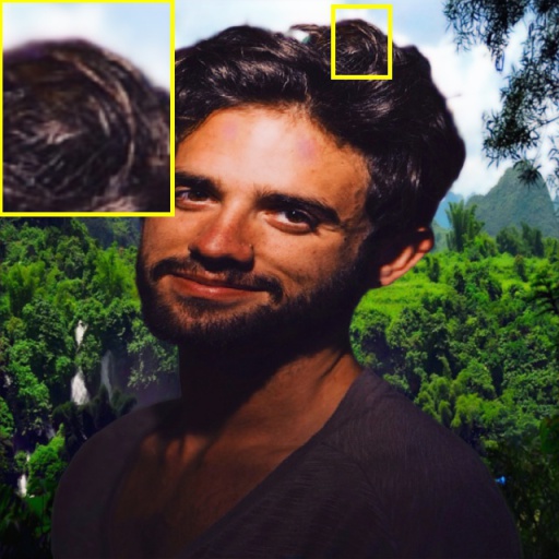 Refer to caption