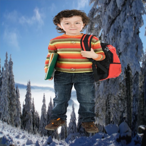 Refer to caption